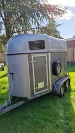 Shetlander, Merrie, Minder dan 160 cm, Met stamboom, 7 tot 10 jaar