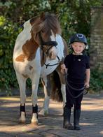 Super bixie pony voor de allerkleinsten❤️❤️, Dieren en Toebehoren, Pony's, Gechipt, Ruin, Springpony, A pony (tot 1.17m)