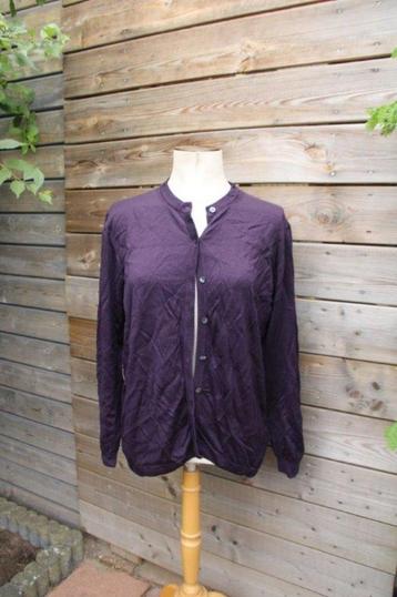 Vest aubergine Peter Hahn mt 44 Vaste prijs beschikbaar voor biedingen