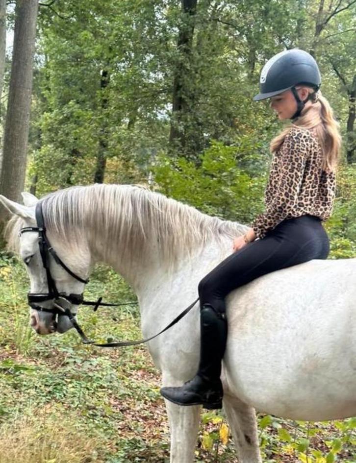 VERZORGPONY GEZOCHT /BIJRIJDER AANGEBODEN, Dieren en Toebehoren, Paarden en Pony's | Beschermers, Rijden, Ophalen of Verzenden