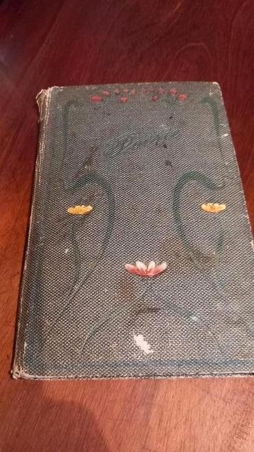 Poesiealbum uit 1908 beschikbaar voor biedingen