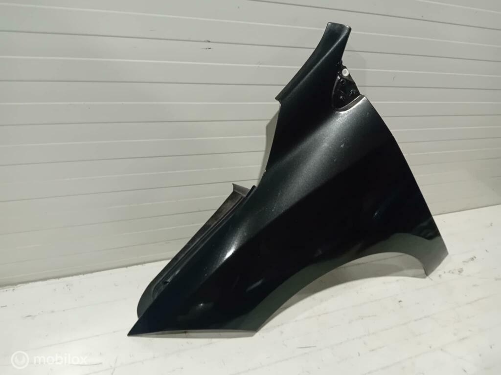 Spatscherm Renault Megane Coupe, Auto-onderdelen, Gebruikt, Ophalen of Verzenden