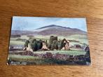 O508) England Carlingford Abbey, Ophalen of Verzenden, Voor 1920, Engeland