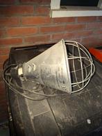 Lamp protector met Einstein warmte lamp bieden, Ophalen of Verzenden