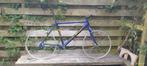 Ratbike project frameset + Bontrager wielset, Fietsen en Brommers, Fietsen | Mountainbikes en ATB, Overige merken, Gebruikt, Hardtail