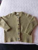Groen Vest XL, Verzenden, Gedragen, Groen, Maat 46/48 (XL) of groter