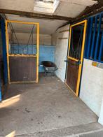 Stallen of 24/7 buiten, Dieren en Toebehoren, Stalling en Weidegang