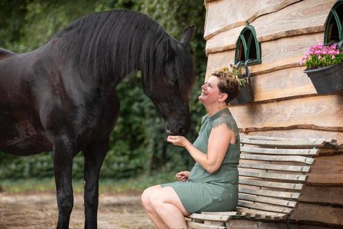 Joyness coaching met paarden, Diensten en Vakmensen, Coaching en Persoonlijke effectiviteit