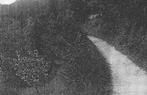 949225	Schin op Geul	Limburg	Wandelweg langs de Geul	jr 40 5, Verzamelen, Ansichtkaarten | Nederland, Ophalen of Verzenden, 1940 tot 1960