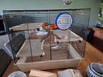Hamsterkooi, Dieren en Toebehoren, Knaagdieren en Konijnen | Hokken en Kooien, Ophalen, Zo goed als nieuw, Kooi