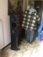 Te koop mooie professionele klipsch speakers te koop, Audio, Tv en Foto, Luidsprekers, Zo goed als nieuw, 120 watt of meer, Front, Rear of Stereo speakers