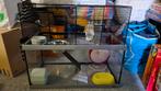 Ruime FERPLAST hamsterkooi met glazen bak., Dieren en Toebehoren, Knaagdieren en Konijnen | Hokken en Kooien, Ophalen, Kooi, 60 tot 90 cm