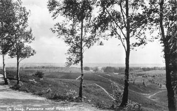 (387-241-019) De Steeg Panorama vanaf Posbank beschikbaar voor biedingen