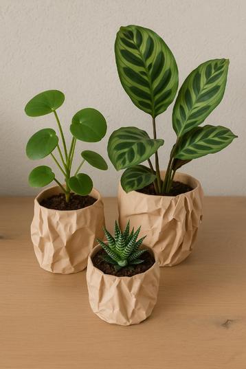 Plantenpot ‘Crumbled Paper’ beschikbaar voor biedingen