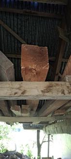 Douglas palen nieuw, meerdere maten. Rest partij, Tuin en Terras, Palen, Balken en Planken, Ophalen, Nieuw, 250 cm of meer, Palen