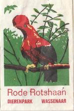 Dierenpark zoo Wassenaar - rode Rotshaan, Ophalen of Verzenden