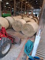 Hooibalen paarden en pony's te koop, Ophalen