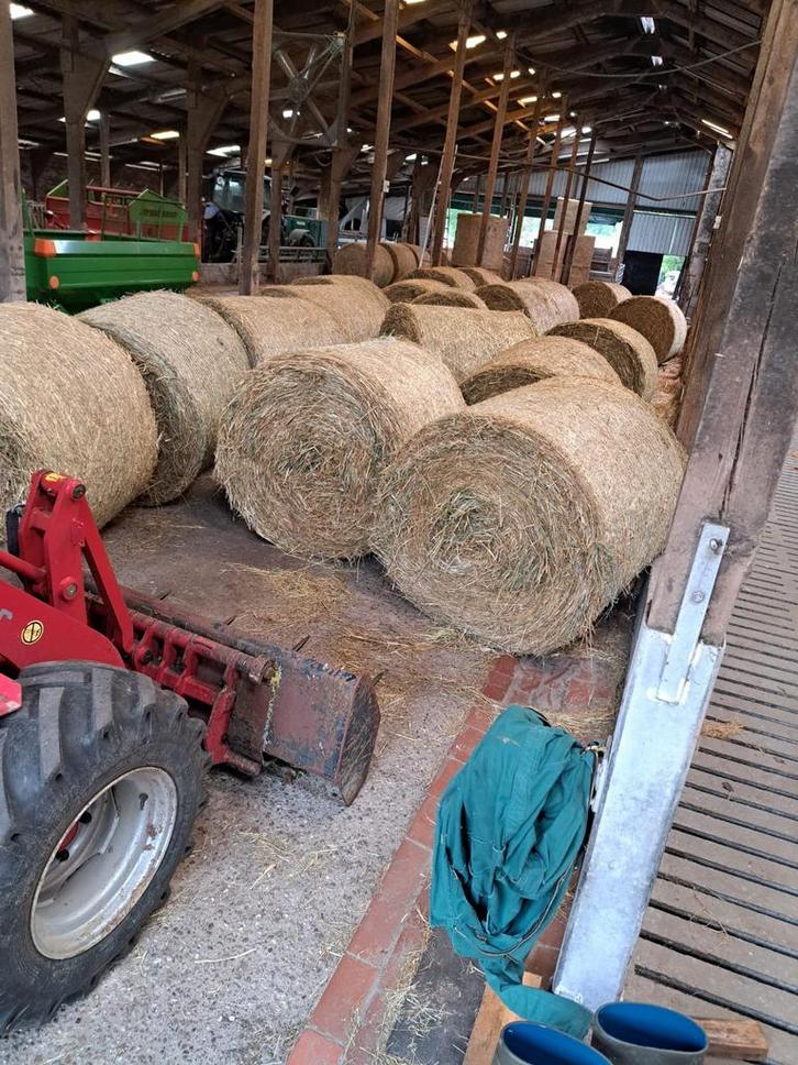 Hooibalen paarden en pony's te koop, Dieren en Toebehoren, Dierenvoeding, Ophalen