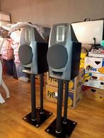 Sony SA EX200 Electrostatische Speakers + Stands -, Audio, Tv en Foto, Luidsprekers, Ophalen, Zo goed als nieuw, 60 tot 120 watt