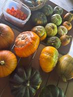 Pompoenen en Kalebassen, Tuin en Terras, Overige Tuin en Terras, Ophalen, Nieuw
