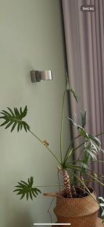 Rvs design wandlampjes 2x Hala, Ophalen, Zo goed als nieuw, Metaal of Aluminium