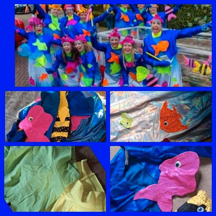 14 Vissenjurken Carnaval LOOPGROEP, Kleding | Dames, Carnavalskleding en Feestkleding, Zo goed als nieuw, Carnaval, Ophalen of Verzenden