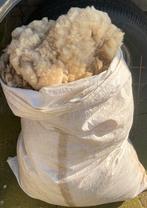 Schapenwol, Hobby en Vrije tijd, Spinnewielen en Spinnen, Ophalen, Spinwol