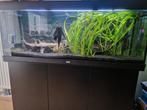 Juwel aquarium (compleet) 450l, Dieren en Toebehoren, Vissen | Aquaria en Toebehoren, Ophalen, Gevuld zoetwateraquarium