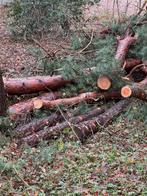 Grove den stammen stookhout haardhout, 6 m³ of meer, Ophalen, Overige houtsoorten, Stammen