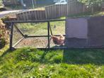 Konijnenren, Ophalen, 60 tot 90 cm, Cavia, Ren