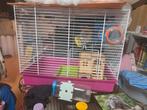 Hamsterhok, Dieren en Toebehoren, Rat, Minder dan 75 cm, Hok, Ophalen