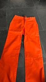 Oranje werkbroek maat 50, Ophalen of Verzenden, Nieuw, Broek