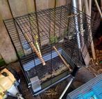 Mooie grote vogelkooi, Dieren en Toebehoren, Ophalen, Gebruikt, Metaal, Vogelkooi