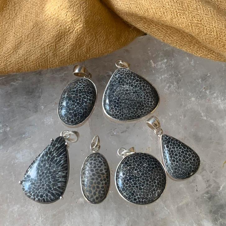 Koraal fossiel hanger beschermt intuïtie sjamaan healer, Sieraden, Tassen en Uiterlijk, Oorbellen, Zo goed als nieuw, Zilver, Rood