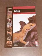 Gekko nieuwstaat / Over Dieren, Boeken, Ophalen of Verzenden, Zo goed als nieuw, Katten
