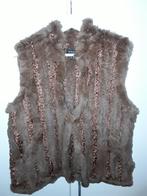 Dino'z Bruin/Bordeaux Gilet Vestje Maat 42, Bruin, Maat 42/44 (L), Nieuw, Dino'z
