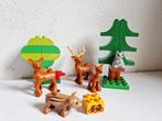 Duplo bosdieren dieren everzwijn eekhoorn hert met gewei, Ophalen of Verzenden, Gebruikt, Duplo