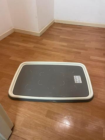 Honden puppy trainer. beschikbaar voor biedingen