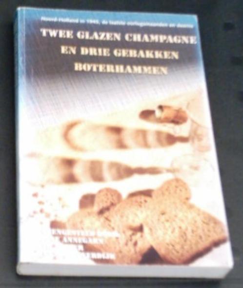Noord-Holland in 1945, de laatste oorlogsmaanden en daarna., Boeken, Oorlog en Militair, Zo goed als nieuw, Ophalen of Verzenden