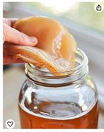 Gratis scoby en starter, Ophalen