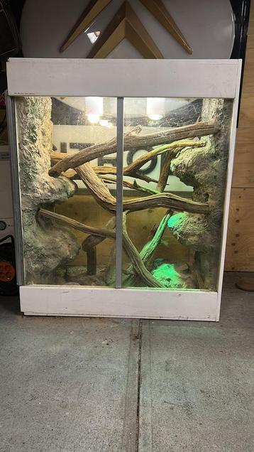 Mooi groot terrarium met achterwand beschikbaar voor biedingen