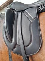 Graziozo 18 inch Domenico, Dieren en Toebehoren, Meerdere dieren, Dressuurpaard