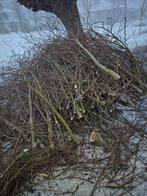 Wilgen tenen takken, Minder dan 3 m³, Ophalen, Overige houtsoorten, Takken