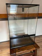 Terrarium en toebehoren, Dieren en Toebehoren, Reptielen en Amfibieën | Toebehoren, Ophalen, Gebruikt, Terrarium of Paludarium