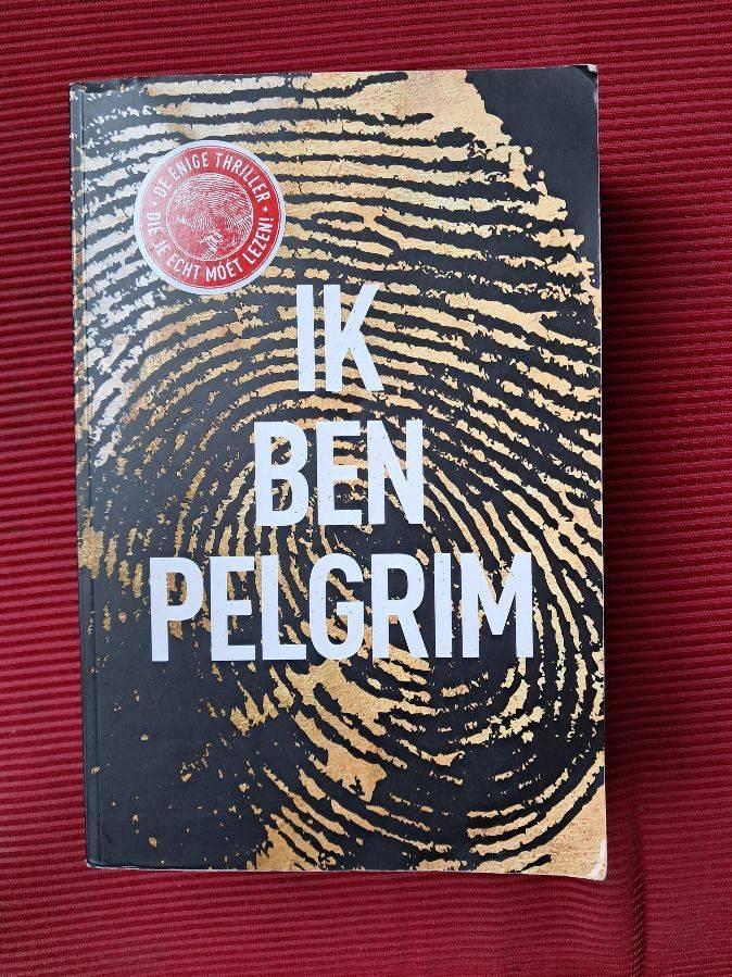 Terry Hayes- Ik ben Pelgrim, Boeken, Thrillers, Zo goed als nieuw, Ophalen of Verzenden
