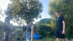 Dylan jurre en boris, Ophalen of Verzenden, Minder dan 50 cm