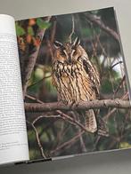 Uilen Van Europa - Biologie, Kenmerken, Populaties, Ophalen of Verzenden, Zo goed als nieuw, Vogels