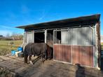 Paardenstal 2 stuks, Dieren en Toebehoren, Stalling en Weidegang, 2 of 3 paarden of pony's, Stalling