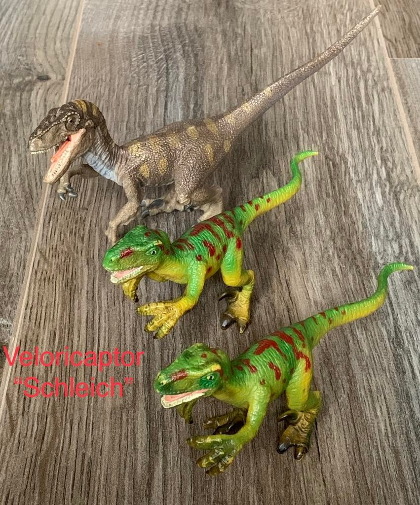 Schleich: Veloricaptor, Ophalen of Verzenden