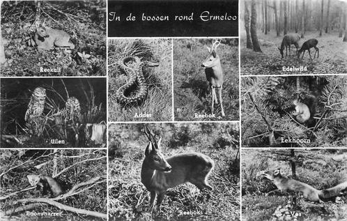 (387-248-009) Ermelo in de bossen, Verzamelen, Ansichtkaarten | Nederland, Gelderland, Verzenden